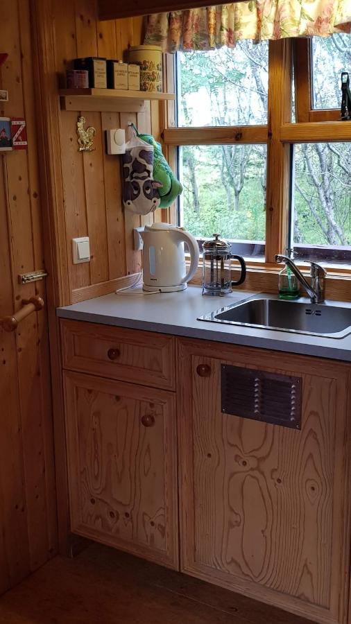Cozy Cabin In The Woods Selfoss Bagian luar foto